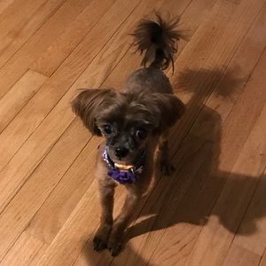 Meet your Posher, Shena